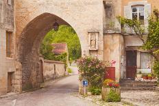 One of the Old Gates to the Village of Noyers Sur Serein in Yonne, Burgundy, France, Europe-Julian Elliott-Photographic Print