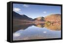 Framed Canvas