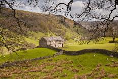 Stone Barn in the Swaledale Area of the Yorkshire Dales National Park-Julian Elliott-Photographic Print