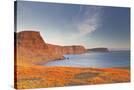 Stretched Canvas