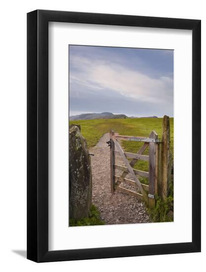 Premium Photographic Print, , large