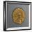 Julian Iii Aureus, Mint of Antioch, 361-363 Ad, Recto, Coins of Antioch Ad-null-Framed Giclee Print