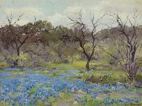 A Road through the Bluebonnets, C.1919 (Oil on Wood)-Julian Onderdonk-Giclee Print