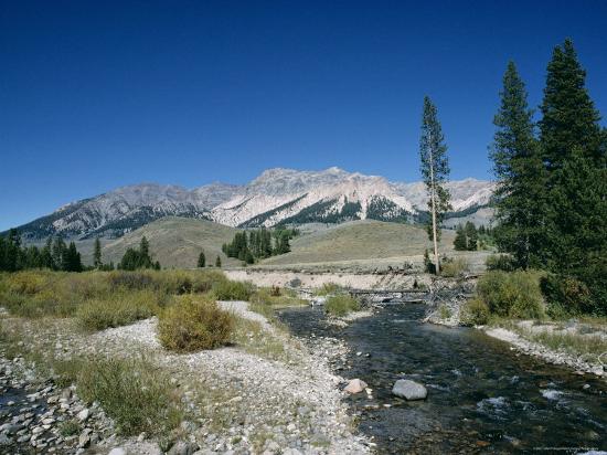 Photographic Print, , large