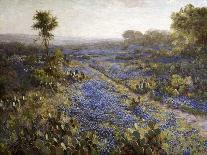 Field of Texas Bluebonnets and Prickly Pear Cacti-Julian Robert Onderdonk-Giclee Print