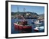 Julianehab, Greenland, Polar Regions-Lomax David-Framed Photographic Print