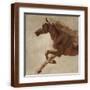 Brown Frame