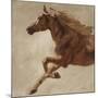 Wood Mount
