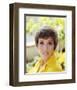 Julie Andrews-null-Framed Photo