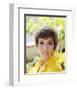 Julie Andrews-null-Framed Photo