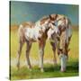 Stretched Canvas