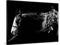 Stretched Canvas