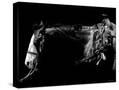 Stretched Canvas
