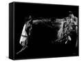 Canvas Black
