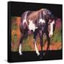 Canvas Black