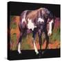 Stretched Canvas