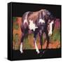 Canvas Black