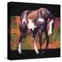 Stretched Canvas