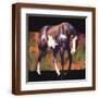Brown Frame