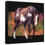 Canvas Black