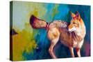 Stretched Canvas