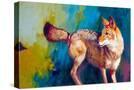 Stretched Canvas