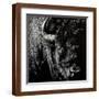Brown Frame