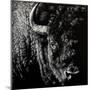 Wood Mount