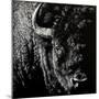 Wood Mount