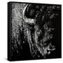 Canvas Black