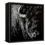 Canvas Black