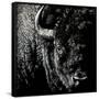 Canvas Black