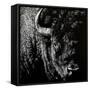 Canvas Black