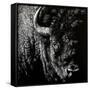 Canvas Black