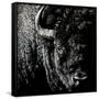 Canvas Black