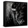 Canvas Black