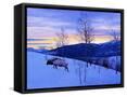 Canvas Black