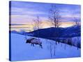 Stretched Canvas