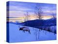 Stretched Canvas