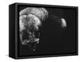 Canvas Black