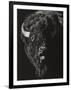 Gramercy Black