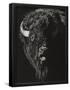 Essential Black
