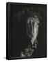 Essential Black