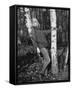 Julie Christie-null-Framed Stretched Canvas