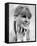 Julie Christie-null-Framed Stretched Canvas