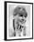 Julie Christie-null-Framed Photo