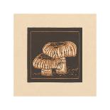 Funghi Forager-Julie de Graag-Premium Giclee Print