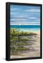 Essential Black