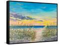 Canvas Black