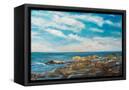 Canvas Black